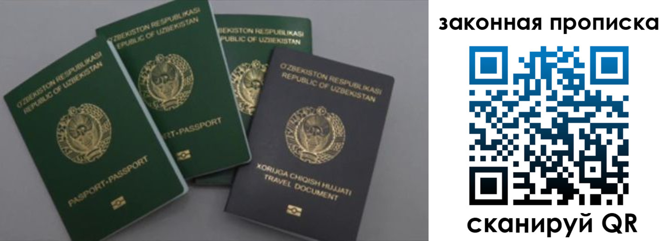 временная регистрация для школы в Дубне